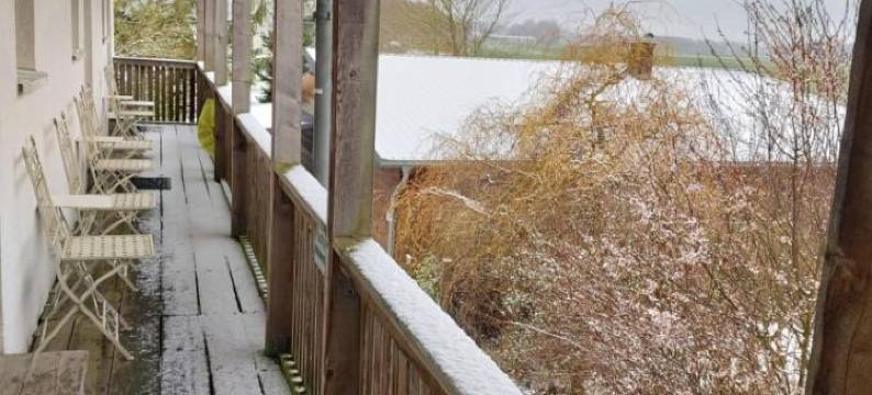 老学院餐厅旅馆(Pension & Restaurant "Alte Schule")图片