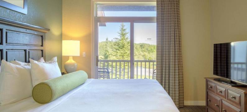 博因山度假村(Mountain Run at Boyne)图片