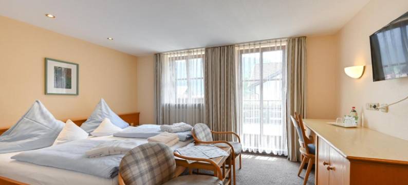 文宝尔酒店(Hotel Weinbauer)图片