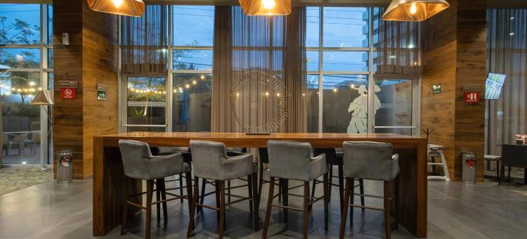莱昂欢朋酒店(Hampton Inn by Hilton Leon Guanajuato)图片