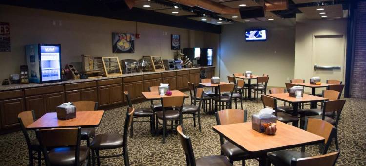 巴达维亚唐斯酒店(Hotel at Batavia Downs)图片