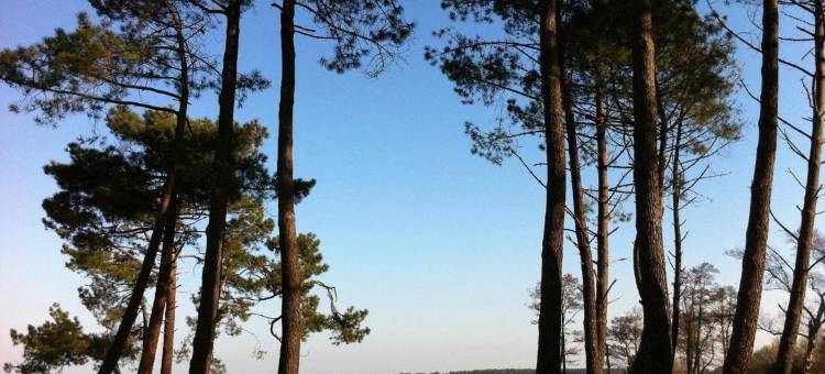 亚特兰迪德酒店(Hotel Atlantide)图片