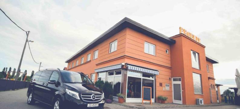 凤凰酒店(Hotel Phoenix)图片