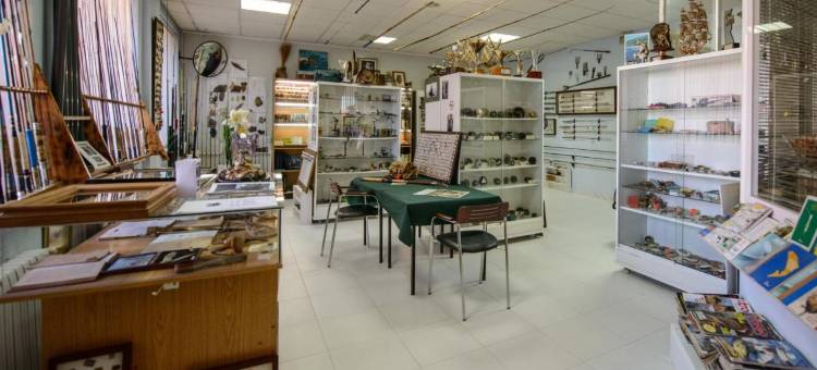 厄尔巴索恩荣索酒店(Hotel El Paso Honroso)图片