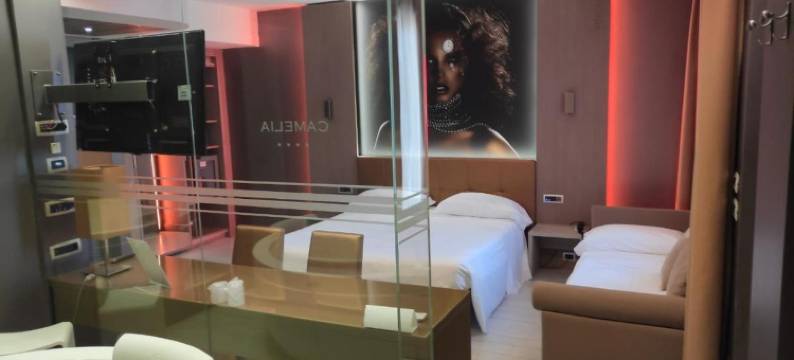 卡梅利亚汽车旅馆(Hotel Camelia)图片