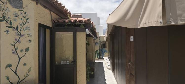 洛斯阿米戈斯巢旅舍(Los Amigos Nest Hostel)图片