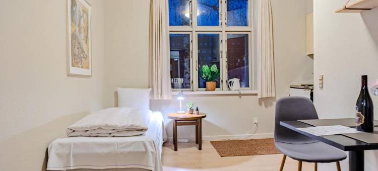 维堡别墅公寓(Villa Apartments Viborg)图片
