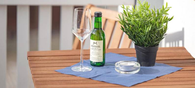 缪尔豪瑟霍夫酒店(Hotel Mühlhäuser Hof)图片