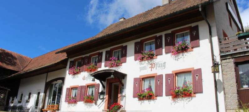 酒店 - Landgasthof Zum Pflug(Hotel Landgasthof Zum Pflug)图片