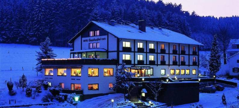 自然与徒步酒店 加斯巴赫塔尔(Natur & Wander Hotel Gassbachtal)图片