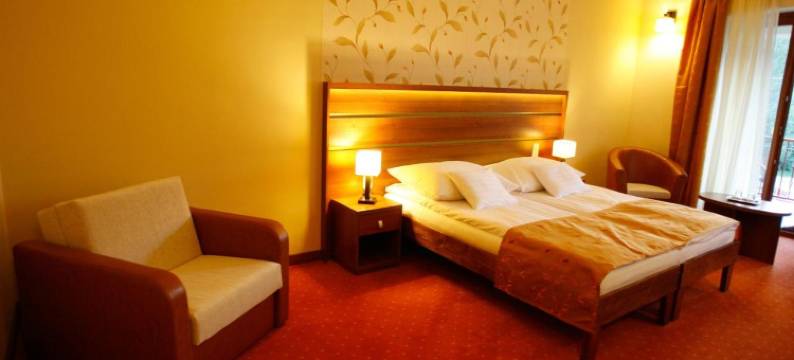 金矿酒店(Aranybanya Hotel)图片