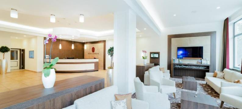 希尔布里克酒店(Hotel Seeblick)图片