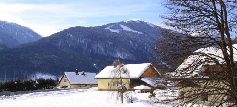 索勒特酒店(Hotel Sonnleitn)图片