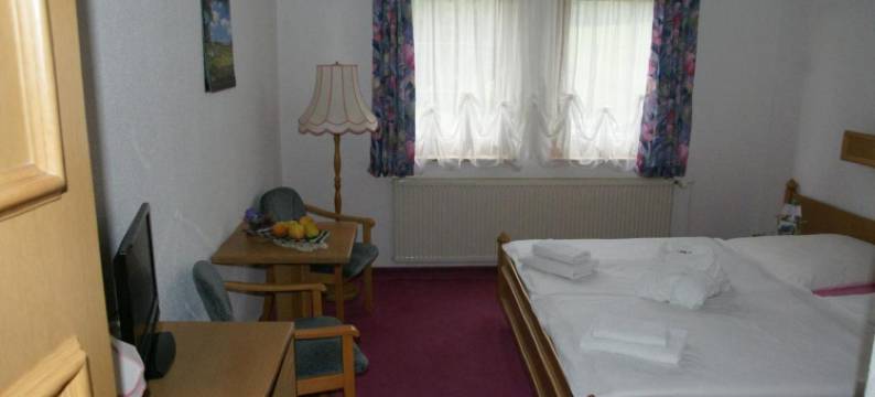 丹尼尔克莱斯特古特餐厅酒店(Hotel & Restaurant Danelchristelgut)图片