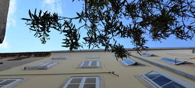 奥利瓦公寓酒店(Apartments and Rooms Oliva)图片