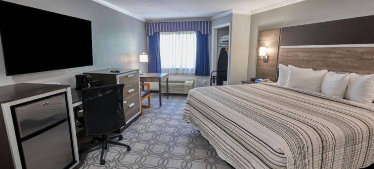 大使套房酒店(Ambassador Inn and Suites)图片