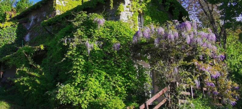 拉揣维尔斯纳酒店(La Traversina)图片