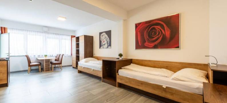 威尔斯酒店(Wels Inn Hotel)图片