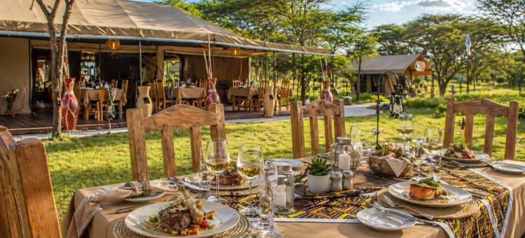 非洲萨法里塞伦盖蒂科加滕德山林小屋(Africa Safari Serengeti Kogatende)图片