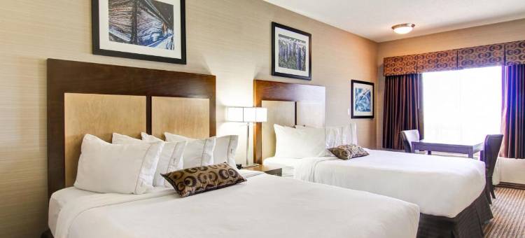 艾斯特哈兹卡纳尔塔酒店(Canalta Hotel Esterhazy)图片