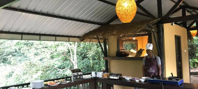 辛哈拉加森林边缘旅馆(Sinharaja Forest Edge)图片