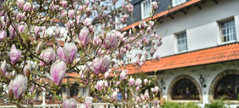 维赫特乡村酒店(Vichter Landhaus)图片