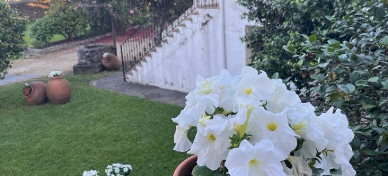 唐胡里奥乡村民宿(Don Julio)图片