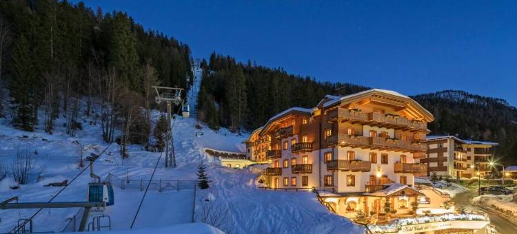 戴索尼诺小木屋酒店(Hotel Chalet Del Sogno)图片
