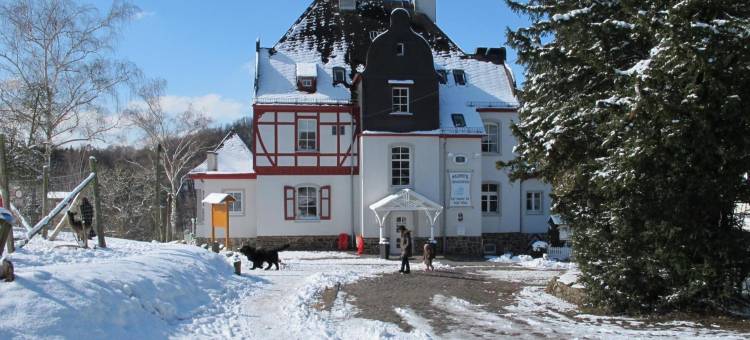 福斯豪斯莱姆斯特肯沃德酒店(Waldhotel Forsthaus Remstecken)图片