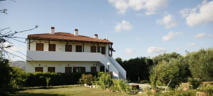 卡利奥皮酒店(Kalliopi Hotel)图片