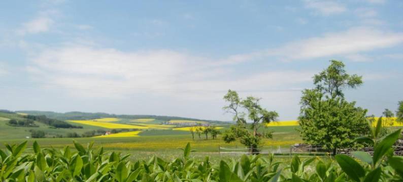 贝格霍夫酒店 - 餐厅(Hotel - Restaurant Berghof)图片