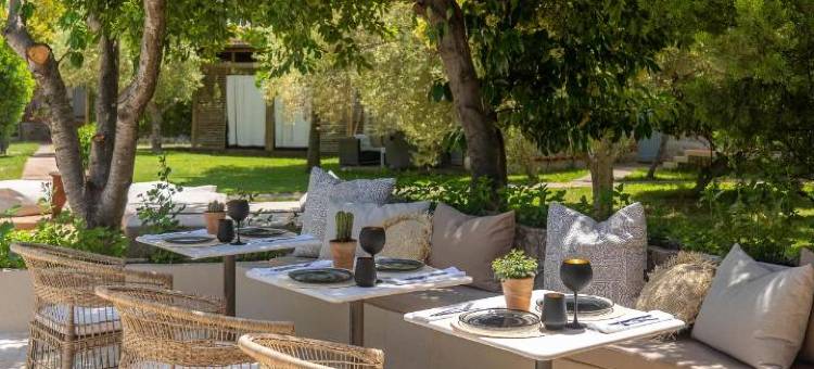 Petrino生态村(Petrino Eco Village)图片