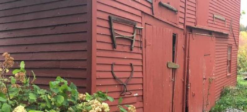 一夜之间风中柳树旅馆(Wind in the Willows Overnight)图片