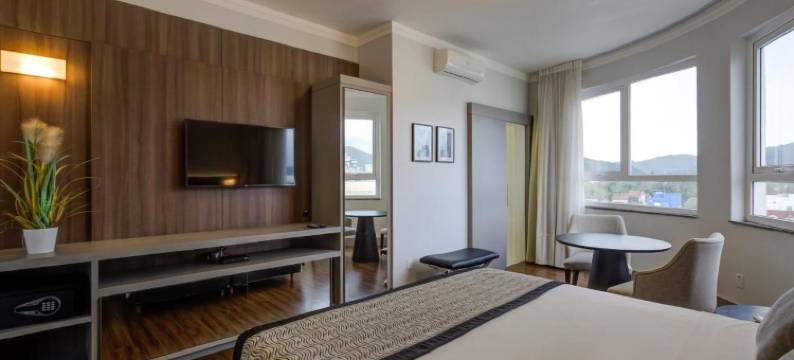 布卢梅瑙斯拉维耶罗酒店(Slaviero Blumenau)图片