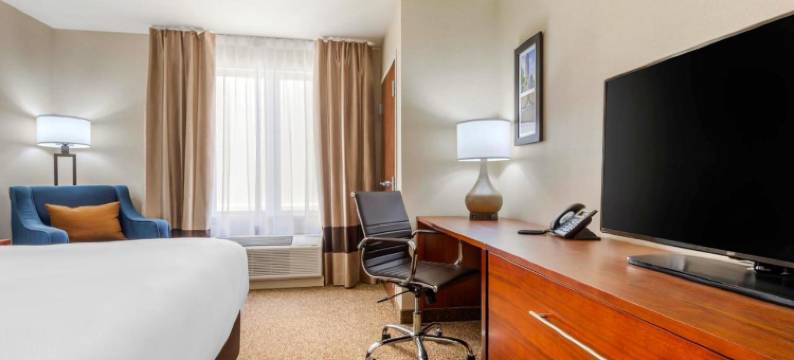 舒适套房酒店(Comfort Inn & Suites)图片