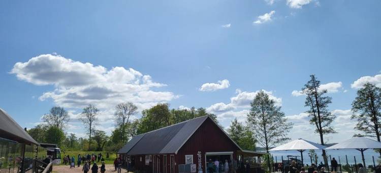 蒂罗姆斯酒店(Tiraholms Hotell)图片