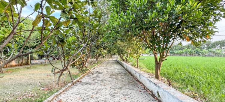 RedDoorz @ Hotel Mewah PLTU Indramayu图片