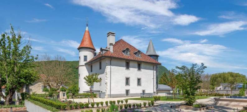 布拉谢城堡(Château Brachet)图片