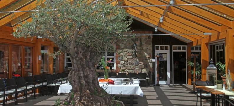 博腾密尔酒店(Hotel Boltenmühle)图片