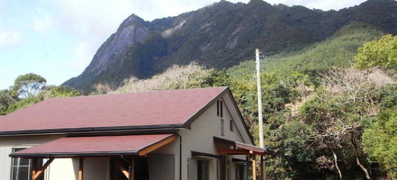 屋久岛旅馆(Guest House Yakushima)图片