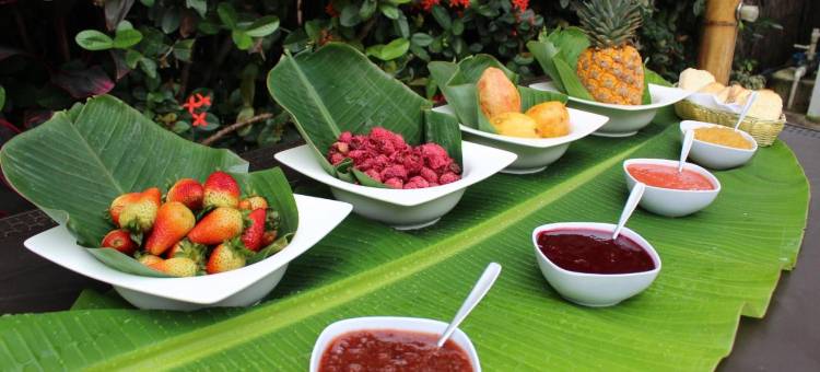 普里玛卢娜帕洛米诺(Primaluna Palomino)图片