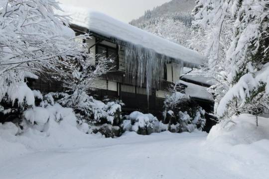 囲爐裏之宿  桂木之鄉