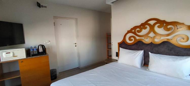 盖拉埃迪尔内酒店(Gala Otel Edirne)图片