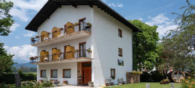 小熊布鲁诺(Piccolo Orso Bruno)图片