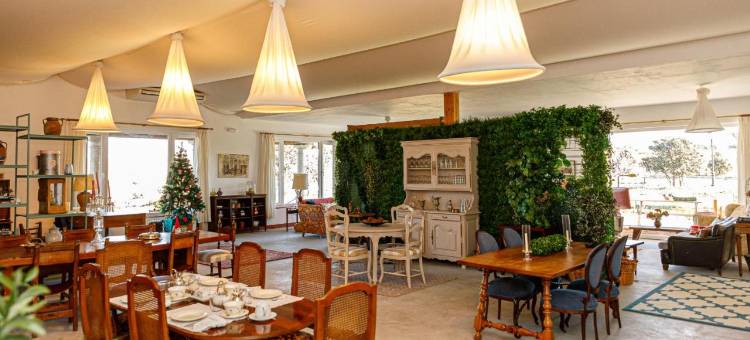 农村柯斯塔德尔特里戈酒店(Hotel Rural Costa del Trigo)图片