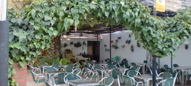 拉斯特雷斯霍塔斯旅舍(Hostal las Tres Jotas)图片