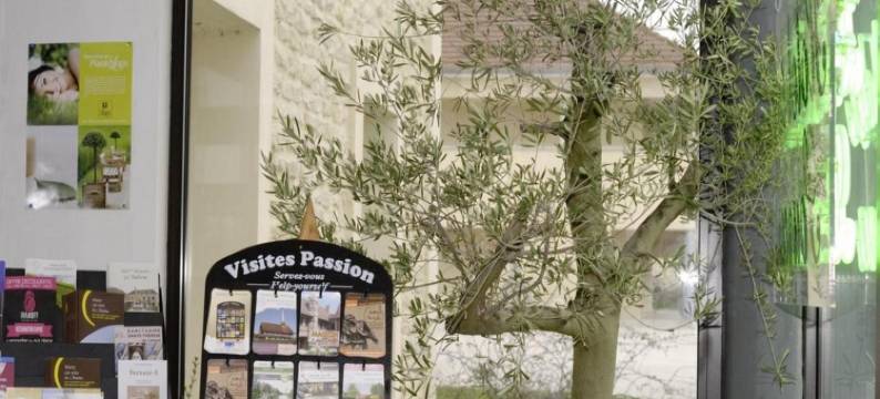 索斯之家酒店(Logis des Sources)图片