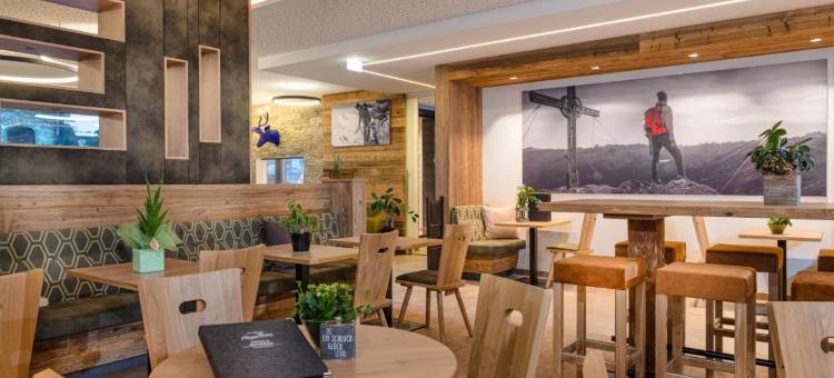 霍克尼希阿尔卑斯公园酒店及公寓(AlpenParks Hotel & Apartment Hochkönig)图片