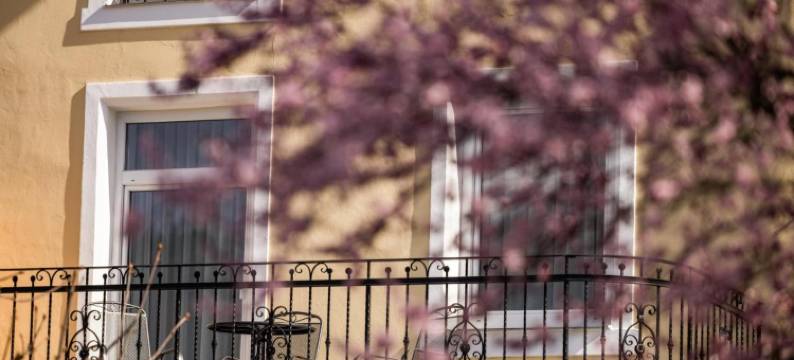 舍瓦本维特酒店(Hotel Schwabenwirt)图片