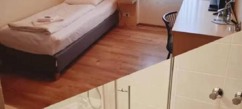 兰格古特维萨施万酒店(Land Gut Hotel Weisser Schwan)图片